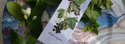 Brocard Чёрная смородина и Мята EDT - для единения с природой