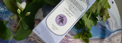 Brocard Чёрная смородина и Мята EDT - для единения с природой