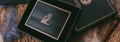 Новая палетка в новом прочтении Небеснокрылая Амбарная Сова в пластике