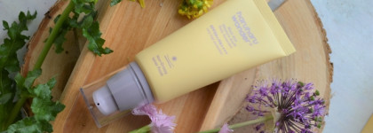 Лучший лёгкий увлажняющий санскрин для жирной кожи в 2024 Haruharu Wonder Black Rice Moisture Airyfit Spf50+ PA++++