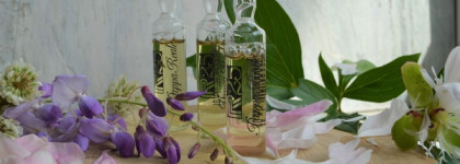 Dikson P.r.25 Pappa Reale - ампулы для волос тонизирующие