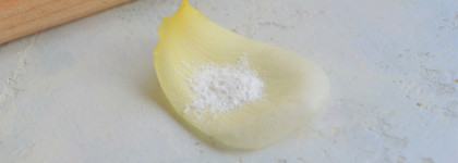 Энзимная пудра для умывания Favorite Enzyme Powder от The U