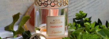Guerlain Aqua Allegoria Pamplelune EDT – бодрость во флаконе