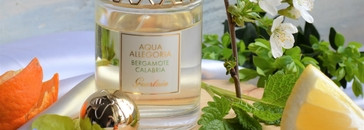 Guerlain Aqua Allegoria Bergamote Calabria EDT – сладкие цитрусы