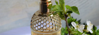 Guerlain Aqua Allegoria Bergamote Calabria EDT – сладкие цитрусы