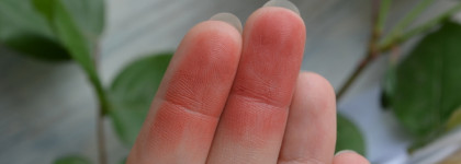 Все мои MAC Lipstick и маловато будет