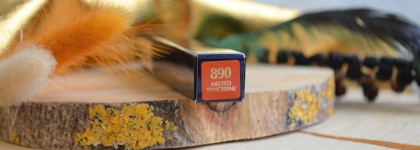 Лучшая новинка 2025 Estee Lauder Pure Color Melt-On Glosstick в уникальном оттенке 890 Melted Tangerine