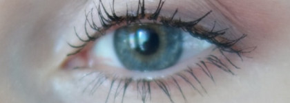 Burberry Complete Eye Palette - Rose №10