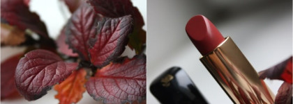Карандаш для губ - Lancome Lip Contour Pro 105 & Помада Lancome L' Absolu Rouge 253 Miracle