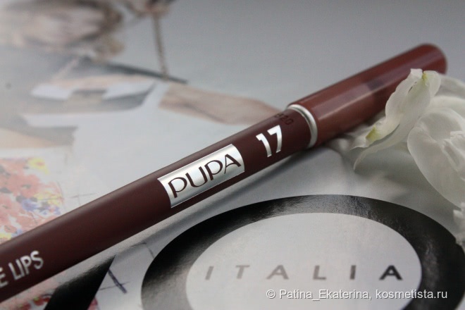 Pupa True Lips Pencil #17 & Maybelline Matte #930 Nude Embrace