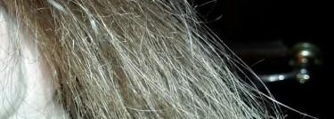 Essence Ultime BB крем для волос Omega Repair от Schwarzkopf