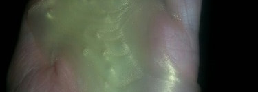 Шампунь и бальзам для волос Syoss supreme selection Restore Клеточное восстановление (для очень поврежденных волос) от Schwarzkopf