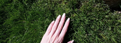 Dance Legend Sahara Crystal 01 Fiji