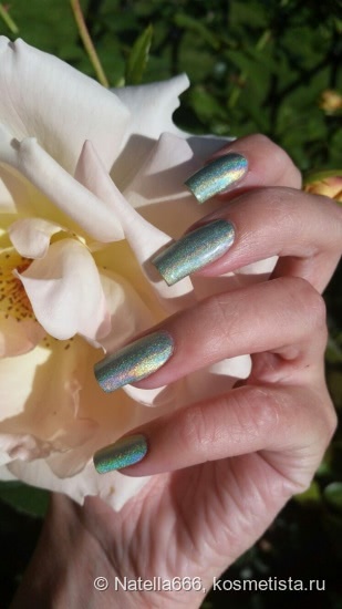 Искрящийся на солнышке Nail Look Holographic # 31013