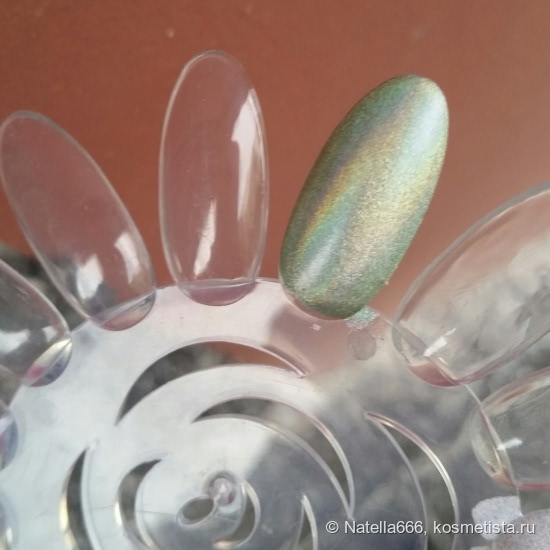 Искрящийся на солнышке Nail Look Holographic # 31013
