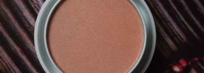 Essence Winter Dreamin 2 in 1 Highlighter & blush powder №01 a december to remember