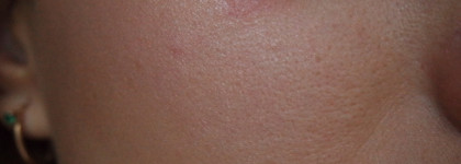 Essence Winter Dreamin 2 in 1 Highlighter & blush powder №01 a december to remember