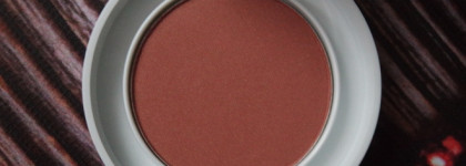 Essence Winter Dreamin 2 in 1 Highlighter & blush powder №01 a december to remember