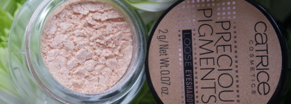 Catrice Precious Pigments №010 Moondust & Liquid Gel Cushion Eye Liner Ultra black №010 The Black Sheep