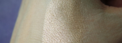 Catrice Precious Pigments №010 Moondust & Liquid Gel Cushion Eye Liner Ultra black №010 The Black Sheep