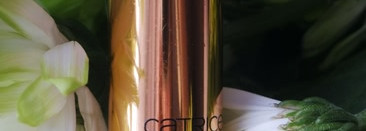 Помада Catrice Metalip Colour №C02 Meet Melal