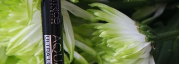 Catrice Aqua Ink Lipliner №080 Pinky Panther