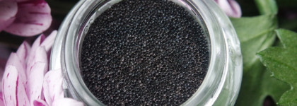 Catrice Matt Cushion Eye Liner №С01 Cross - Border Grey