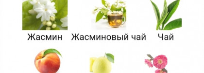 Аромат весеннего сада Lancome Jasmin D'eau