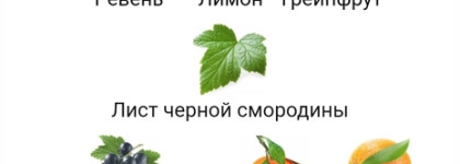 Аромат путешествий Memo Corfu