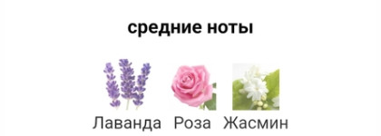 Моя коллекция ароматов Maison Margiela Replica