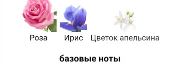 Моя коллекция ароматов Maison Margiela Replica