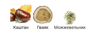Моя коллекция ароматов Maison Margiela Replica