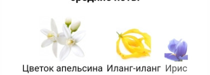 Медовая груша на осень - Safanad Parfums de Marly