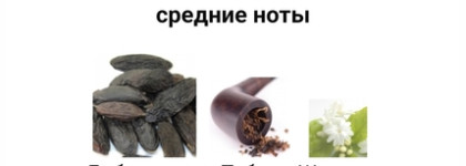 Ароматы на холодное время года. Восток и пряности