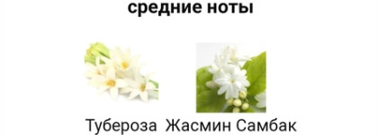 Те самые туфельки или красивые ароматы в необычном оформлении