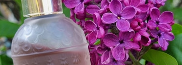 Guerlain Insolence Eau de Parfum - лучшая фиалка в парфюмерии
