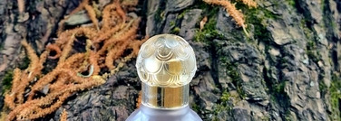 Guerlain Insolence Eau de Parfum - лучшая фиалка в парфюмерии