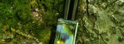 Летний сад после дождя Demeter Wet Garden