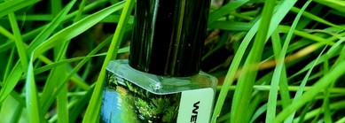 Летний сад после дождя Demeter Wet Garden