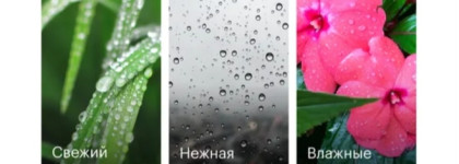 Летний сад после дождя Demeter Wet Garden