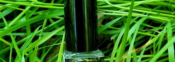 Летний сад после дождя Demeter Wet Garden