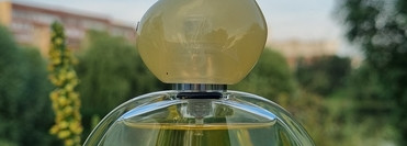 Аромат солнечного света Light di Gioia Eau de Parfum Giorgio Armani