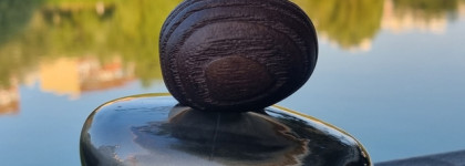 Нота ладан: Mon Nom est Rouge Majda Bekkali Parfum