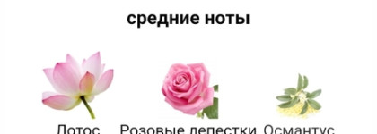 Masaki Matsushima Mat Limited Eau de Parfum - аромат зимнего ветерка