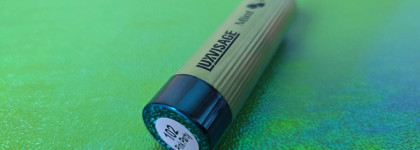 Новинка: оттеночный бальзам Luxvisage Mint Balm в оттенке 102 Pink Party