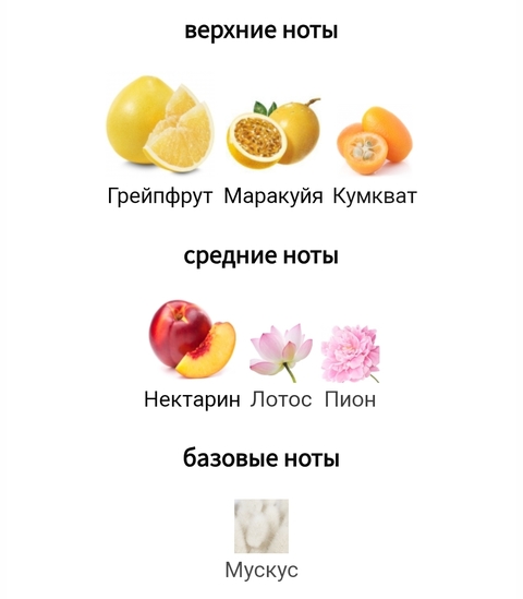 Цитрусовый коктейль: Fluo Masaki Matsushima