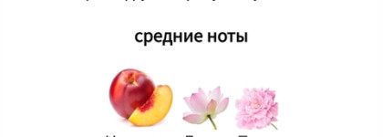Цитрусовый коктейль: Fluo Masaki Matsushima