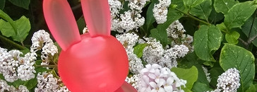 Самый милый блеск для губ: Essence Some Bunny Like You Lipgloss