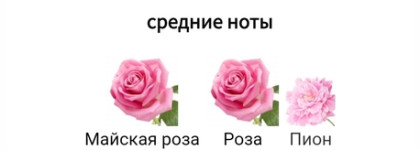 Sparkling Cosmo: аромат счастья Valentina Pink Valentino