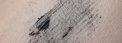 Летний вайб с влагостойкой тушью Love Generation Tentacle Water Resistant в оттенке Black